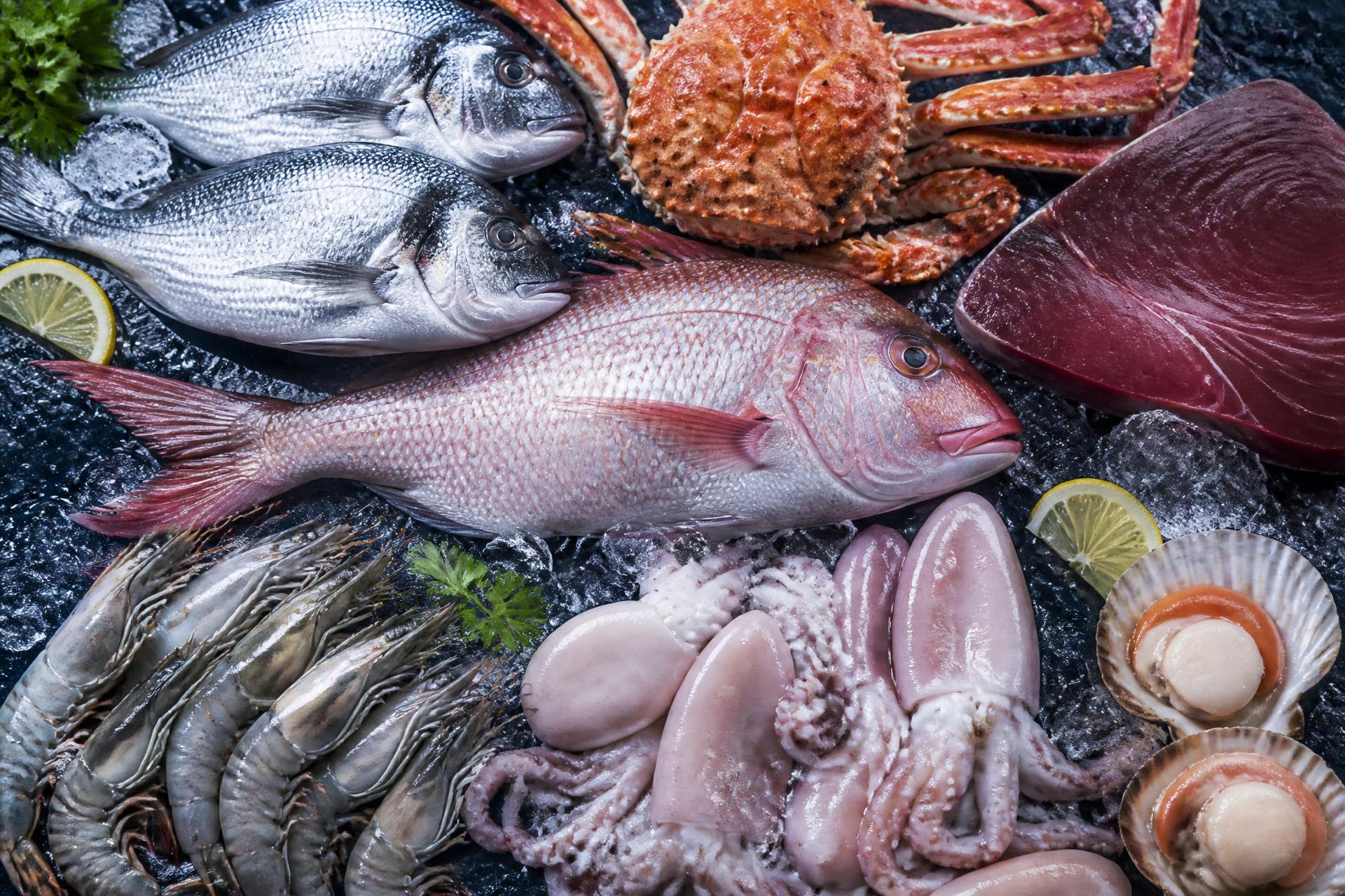 Poissons et fruits de mer frais sur glace